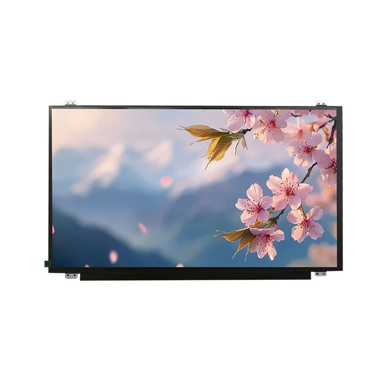 15.6 'HD ကျယ်ပြန့် Temp IPS TFT LCD မျက်နှာပြင် module