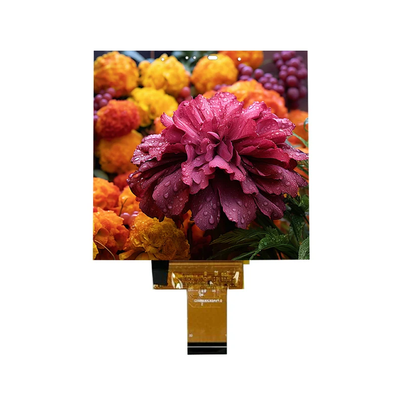 3.95 လက်မအနိမ့်စွမ်းအင် 500 Nit IPS PLP-Cell Touch Screen Module 3.95 လက်မအနိမ့်စွမ်းအင် 500 Nit IPS PLP-Cell Touch Screen Module